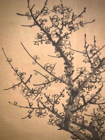 日本回流老字画柳溪仙史墨梅图3958中古真迹书画