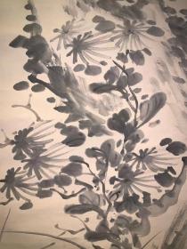 日本回流老字画吉嗣拜山墨菊草石图3927中古真迹书画