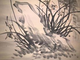 日本回流老字画吉嗣拜山墨菊草石图3927中古真迹书画