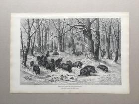 【现货 包邮】1881年大幅木刻版画《风景画：雪松森林》（Schwarzwildjagd im Thiergarten bei Wien）-- 出自德国画家，Albert Richter（1845–1898）的原创木刻作品 -- 画作描绘奥地利维也纳的蒂尔加藤森林，冬日里的雪后景色，尺寸约40.8*27.5厘米