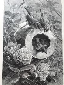 【百元 包邮】《风景画：雀巢之爱》（Das Sperlingsnest）出自意大利雕刻家，T. Giacomelli的原创木刻作品；1881年，木刻版画 ，纸张尺寸约41×29厘米
