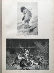 【现货 包邮】1892年大幅木刻版画《天使丘比特》、《享受美餐的猫咪》（hunger quartett），尺寸约54.2*40.8厘米