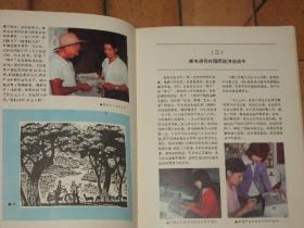 邮电通信与社会效益【1986年湖北邮电局画册】