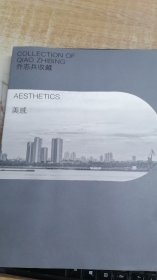 美感 乔志兵收藏