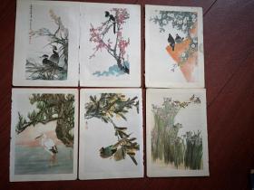 70年代末彩色名家美术插页（单张）一套六张，花鸟画