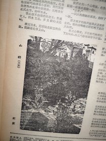 人民日报1963年2月5日6版全，广东四川力求备耕扎实有效，鞍钢成批生产新钢种新钢材，晋城巴公公社渠头大队二队积肥照片，哲里木盟备耕，双城县庆利大队促进集体发展，建湖县近湖公社长西队动力耕田照片，魏双凤吴百思林婕《高沙田水旱轮作的经济效果》碧野《黄连架》郑晨木刻《山村》刘真《大雁飞来了》安达市话剧团来京演出预告，