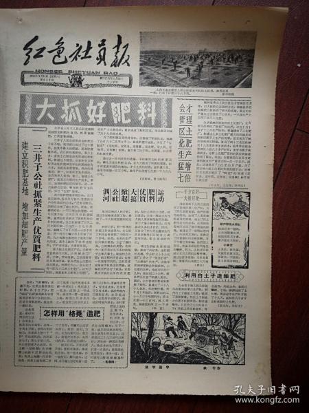 红色社员报1959年3月14日平遥燎原公社岳北大队女社员积肥照片，扶余三井子公社积肥，榆树青山公社会才区生产土化肥，九台卡伦放牛沟六队利用白土子造细肥，铁牛版画《放学途中》全国家禽生产现场会在清远召开，河北沧县辛庄公社南顾屯大队养兔场，商城超英区养鹅照片，九台上河湾公社农民诗画，其塔木二大队社员诗歌（张广善田三元代书印曹淑珍徐福贵徐福林燕桂珍孙义）几种土农药原料制法，吉林省制造土农药的野生植物品种