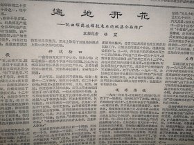 人民日报1963年2月1日4版全，解放军不断涌现新四好连队，青海内蒙古喜接冬羔，沈阳机电工业试制成二百多种新产品，黑龙江林区推广“综合小工队”经验，遍地开花.--记曲耀离植棉技术在运城县全面推广，“陆水利”广西南丹陆腾英事迹，汾阳农村，吉林黄泥河林业局照片，冉雪峰讣告，荀慧生剧团尚小云剧团演出，中国戏曲学校青年教员公演预告，中国戏曲学校实验京剧团许德福沙淑英张春孝王梦云谢锐青演出