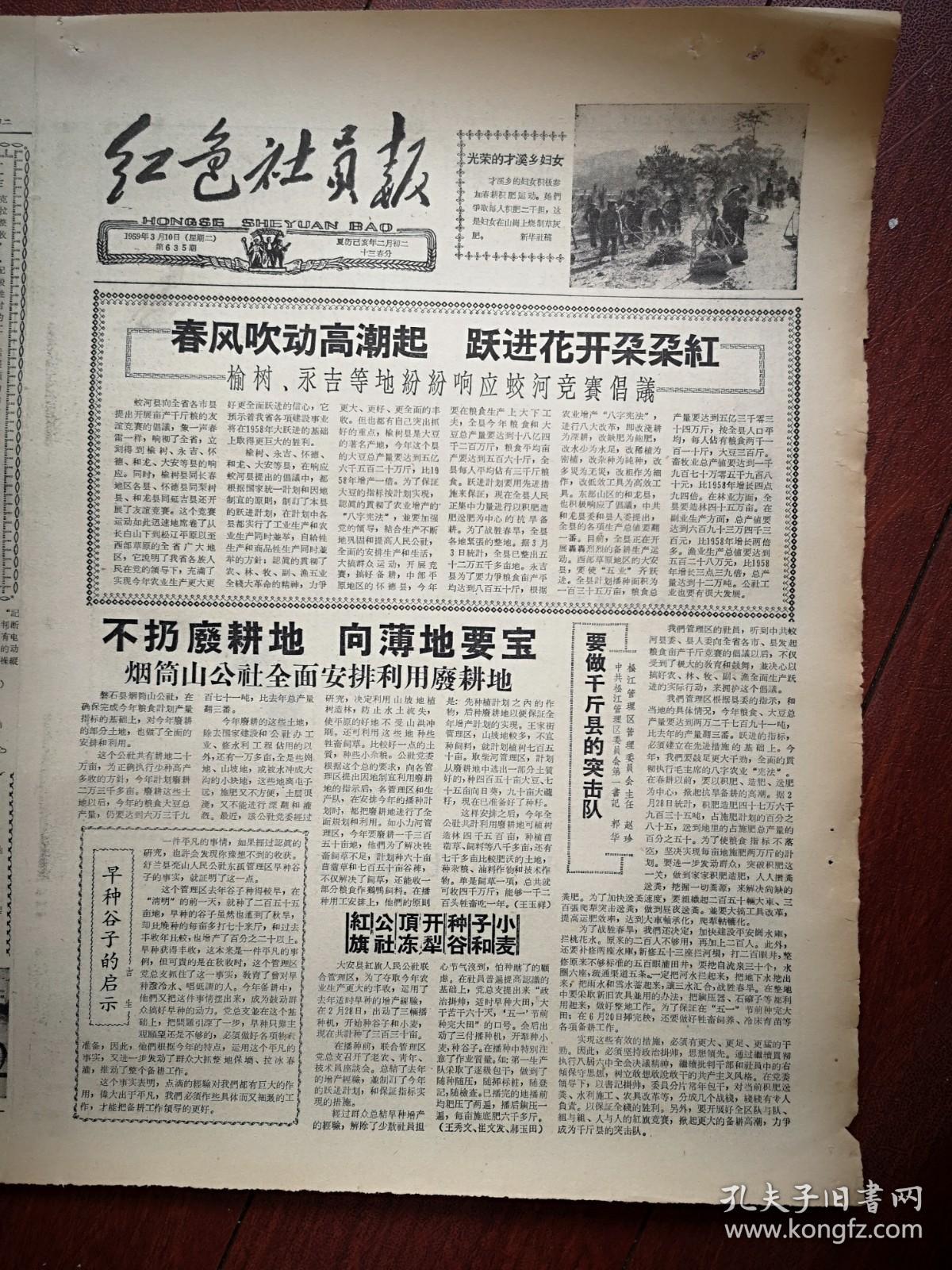 红色社员报1959年3月10日（大跃进，人民公社化）才溪乡妇女积肥照片，榆树县永吉县和龙县大安县怀德县响应蛟河县竞赛倡议，松江区书记郭华主任赵珍《要做千斤县的突击队》，大安县红旗公社联合区种谷子和小麦，内蒙古大搞牧羊技术革命，张振才相声《一路同行》农安县龙王公社读报推动跃进，龙王公社黄金邮电所乡邮员田维忠的故事，九台沐石河公社大造土农药，磐石县五一区土法制成36种杀虫药剂，梨树县弓棚子公社备足菜籽