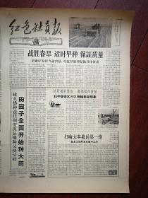 红色社员报1959年4月8日（大跃进，人民公社化）怀德县南崴子公社红专试验场播种小麦照片，怀德县田园子区开始种大田，河北磁县成安镇公社植棉能手林长润作嫁接试验照片，蔡春剪纸，程光新王佳东诗歌，农安全宝山区团支书王淑珍的故事，双辽县宋文学的故事，山东博兴县湖滨公社争取亩产双千斤麦田追肥照片，长春兴隆山公社生产新高潮