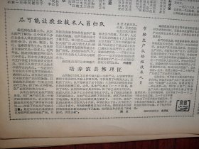 人民日报1963年2月3日6版全，悉心树人（北京六中教师李观博事迹）献县南河头大队兴修水利，海丰县慰问澎湃母亲，四川退休老红军献身农村（万源县王超侯安全、平武县陈广发）使用刃口钢大有学问，华北北部农村社员冒寒抗旱，首都大中小学教师举行寒假联欢会，楊掦《小说《汾水长流》的艺术特色》赵灵出《将《红楼梦》改编成朝鲜唱剧之后》李叔起《民航机上的小旅客》姜汛《金色的玉渊潭》于津源雕塑，茅以升《桥话》