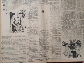 小说报1989第21期（只出版24期）荷兰木刻《渔民》，孙正连《调色板》曾子云《换席》张云峰《尿罐》许行《砚》洪毅《裙子》周作君《美人照》阮衍喜《女人》酆远征《怪洞》祁力嘉《白鸽子》庄玉林《隐语》，刘昌璞小说三题《木蛋》《醉鸟》《石女》鲁琪《仲夏夜》陈宝源《李玉倩其人》，高国芳许孝诗插图