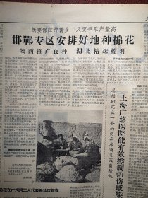 人民日报1963年2月6日6版全，宋恩珍舍身抢救公共财产，天桥百货商场越办越好，纪念二七大罢工40周年，我国的产茶区，三门峡会兴公社高峰大队选种照片，谢树《 边疆灯火 》毕克官《 元宵忆面灯 》艾克恩《 有感于柳青编《三字经》》，宋福成素描