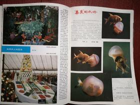 《世界知识画报》1985（夏加尔专题），中心插页海报世界名画夏加尔《女乐师》《散布》，封面比萨斜塔，比萨和它的艺术，斯里兰卡，维也纳骑术学校，水母，留声机展览馆，航天发展史，二战画史连载