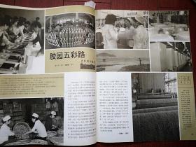 民族画报封面瑶家女，舞台在草原-记鄂温克自治旗乌兰牧骑演出队，“铁人”的接班人申冠，重振新疆古丝路，伊犁河谷开发，记满族常书鸿，罗沛常和他的傩戏面具，深圳特区的“穆斯林之家”，第七届全国美展获奖作品（郑力为漆画《下海》、伏新漆画《塔尔寺印象》、祝平水粉画《捣米歌》、龚景充年画等），宁夏沙坡头，广东垦区胶园，横断山行，苗寨画乡贵州麻江县铜鼓村，阜新蒙古族自治县胡尔沁演唱好来宝等