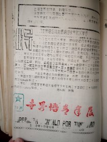 《ESPERANTA JURNALO POR JUNULOJ 》（世界语青年报）世界语刊物（刻油印，数量极少）1989年2月总第2期上海世界语青年联谊组主编，上海世界语教学活动，世界语者通信，贺信