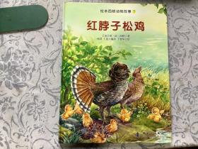 绘本西顿动物故事7：红脖子松鸡