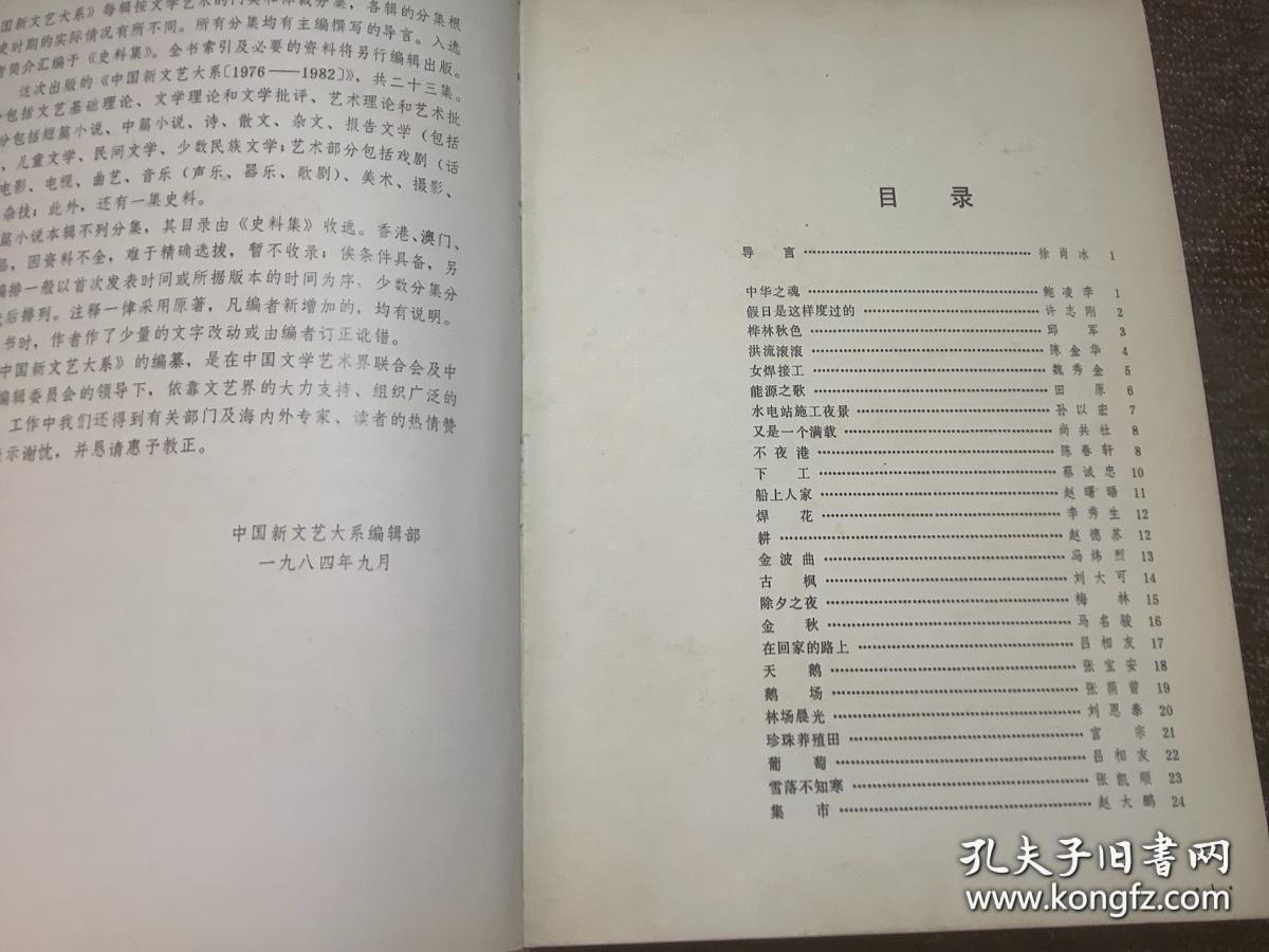 中国新文艺大系 1976-1982摄影集