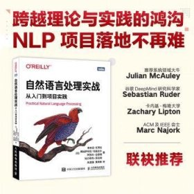 现货速发 自然语言处理实战(从入门到项目实践)9787115597892  文墨书籍