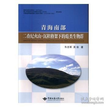 现货速发 青海南部二叠纪火山-沉积格架下的〓类生物群9787562538325 二叠纪火山沉积古生物生物群研究文墨书籍