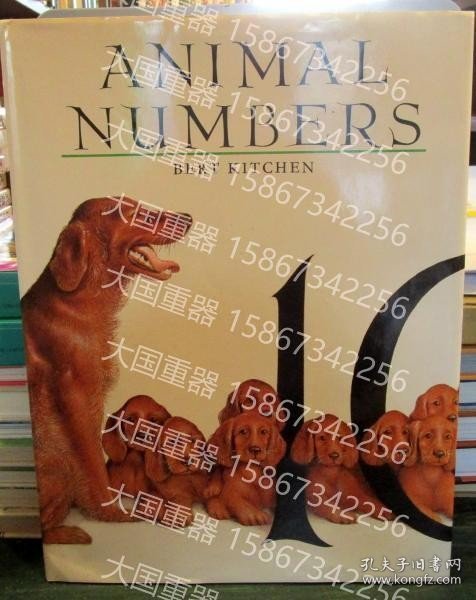 アニマルナンバー　　ソンリーサ7　イギリス　　　英語RH610476动物号码森丽莎7英国英语