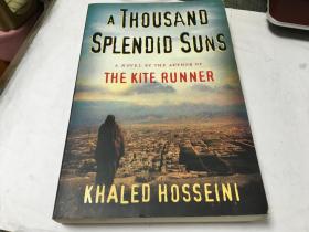 英文原版小说 A Thousand Splendid Suns the kite runner 追风筝的人   内柜 4  1层