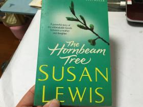 英文原版小说  SUSAN LEWIS THE HORNBEAM TREE  角树苏珊 · 刘易斯  内柜4  1层