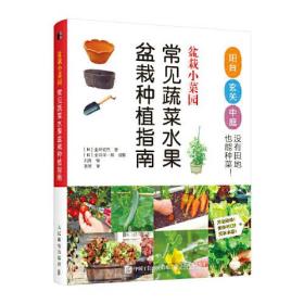 盆栽小菜园 常见蔬菜水果盆栽种植指南