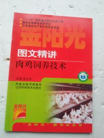 金阳光新农村丛书：图文精讲肉鸡饲养技术