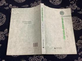 桂西北作家群的文化诗学研究
