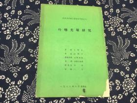 武汉大学硕士研究生学位论文：卟啉光敏研究