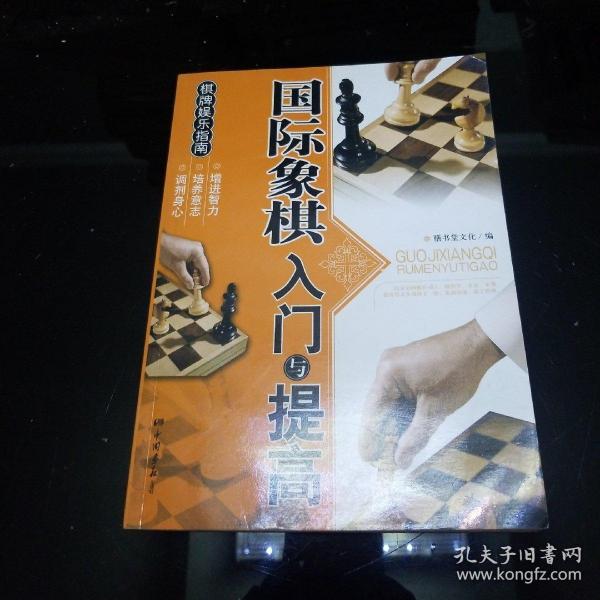 棋牌娱乐指南：国际象棋入门与提高