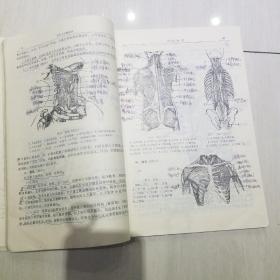 正常人体解剖学 乡村医生自学丛书
