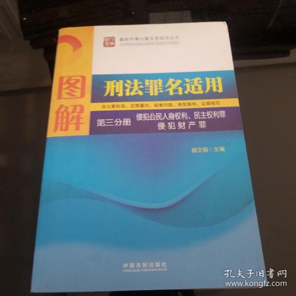 图解刑法罪名适用（第3分册）侵犯公民人身权利、民主权利罪、侵犯财产罪