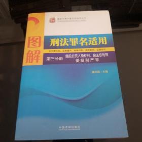 图解刑法罪名适用（第3分册）侵犯公民人身权利、民主权利罪、侵犯财产罪