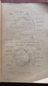 [[眼科学讲义]]..湖北医学院1958.9[油印本]实拍.仔细看图