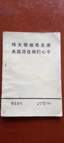 湖北青年《伟大领袖毛主席永远活在我们心中》