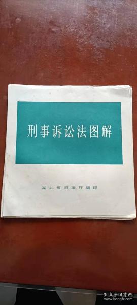 刑哥诉讼法图解 连环画册（12开26张全.全彩图）