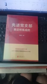 先进党支部是这样炼成的（未拆封）