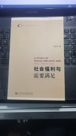 社会福利与需要满足