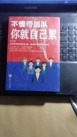 不懂带团队你就自己累【未拆封】