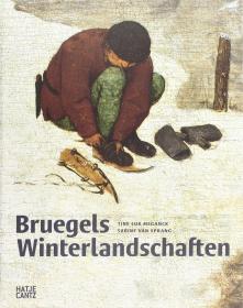 Bruegels Winterlandschaften 勃鲁盖尔 英文原版 文艺复兴 绘画艺术历史