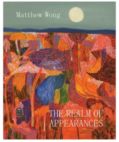 黄衍蒙:表象的领域 Matthew Wong: The Realm of Appearances 王俊杰艺术绘画画册