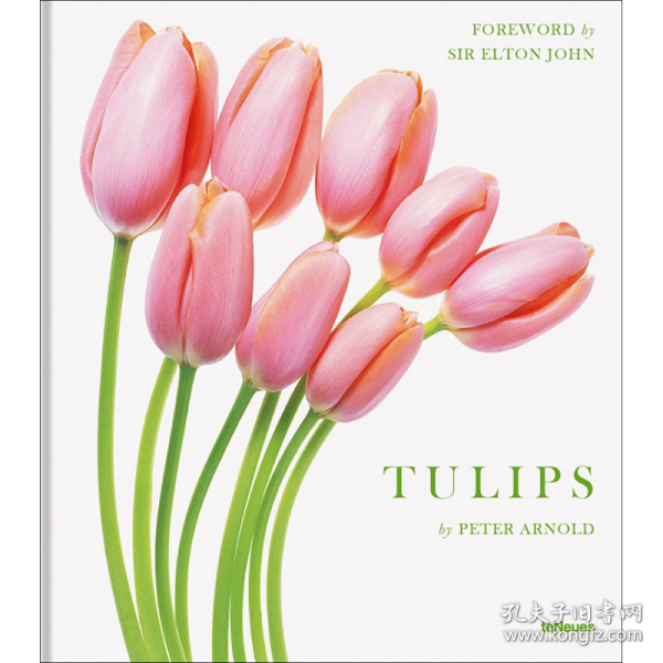Tulips 进口艺术 郁金香绘画集