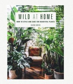 Wild at Home 野生家居:如何设计和照顾美丽的植物 英文原版室内装修设计