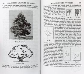 The Artistic Anatomy of Trees 进口艺术 树木的艺术解剖学