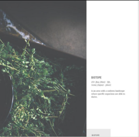 Biotope: Pastorale Hardcover – November 18, 2019  生物区：田园