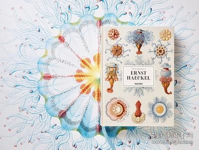 Ernst Haeckel 恩斯特·海克尔 自然历史科学生物艺术书籍绘画手绘彩图画册原版书大开本 进口原版图书