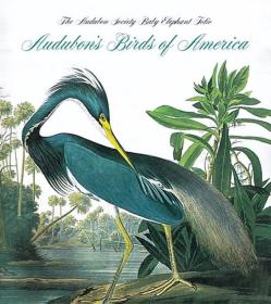 Audubon's Birds Of America  奥杜邦的鸟类