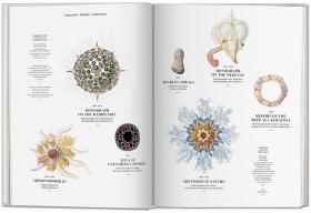 Ernst Haeckel 恩斯特·海克尔 自然历史科学生物艺术书籍绘画手绘彩图画册原版书大开本 进口原版图书